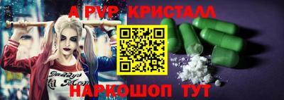 амф Кингисепп