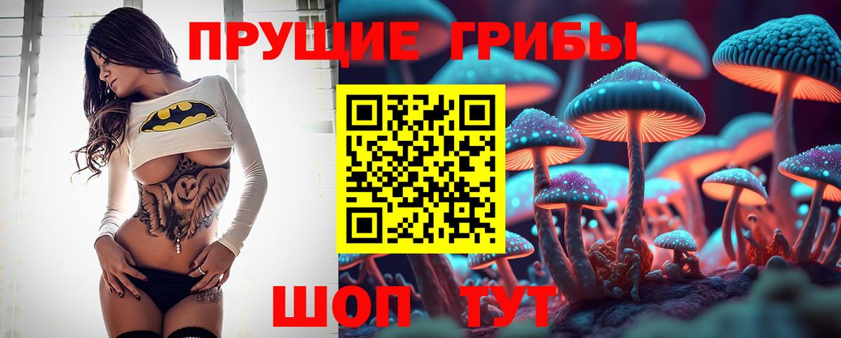 Псилоцибиновые грибы мицелий Кудымкар