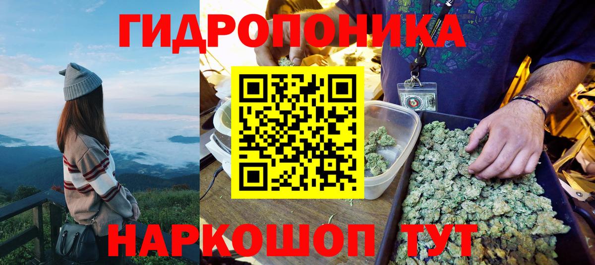 Конопля гибрид Кудымкар